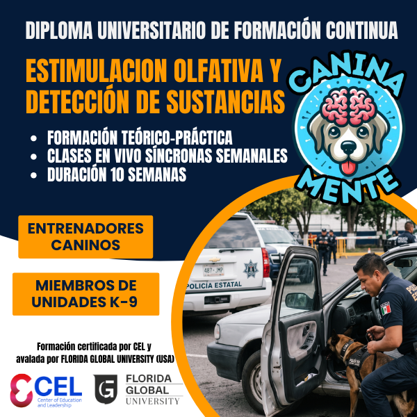 Cartel original del curso Estimulación Olfativa y Detección de Sustancias: formación teórico-práctica, 10 semanas con clases semanales en vivo para entrenadores y unidades K-9